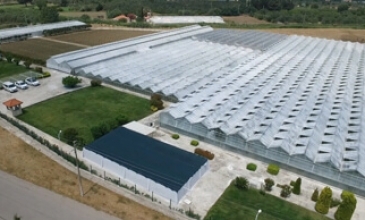 ALTIN TOHUMCULUK HAVA ÇEKİMLERİ