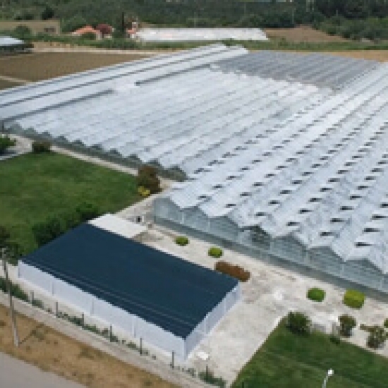 ALTIN TOHUMCULUK HAVA ÇEKİMLERİ