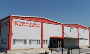 taris kolonya
