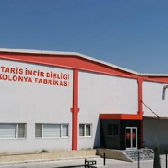 taris kolonya